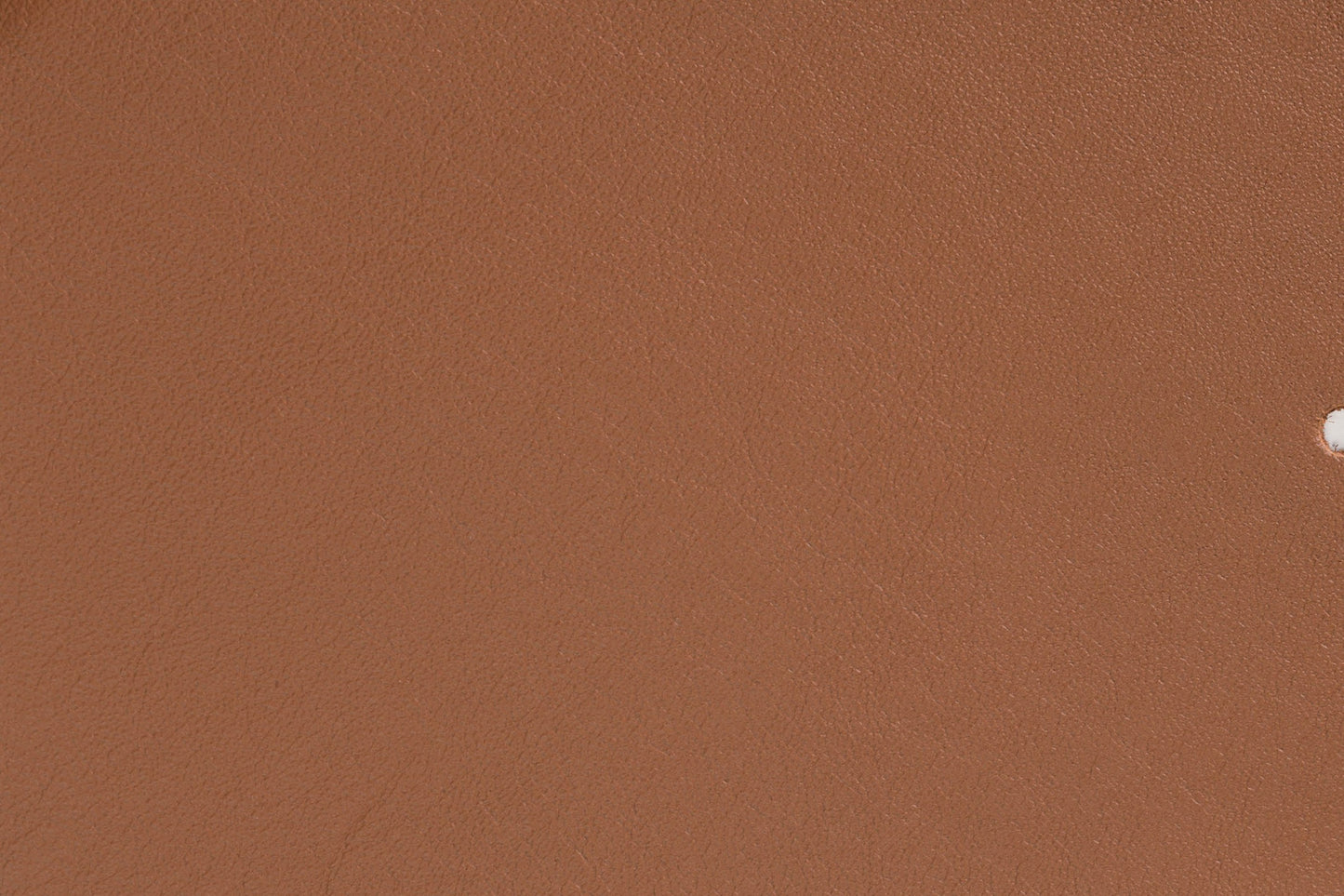 Phillips Design Elmosoft 33004 Brown