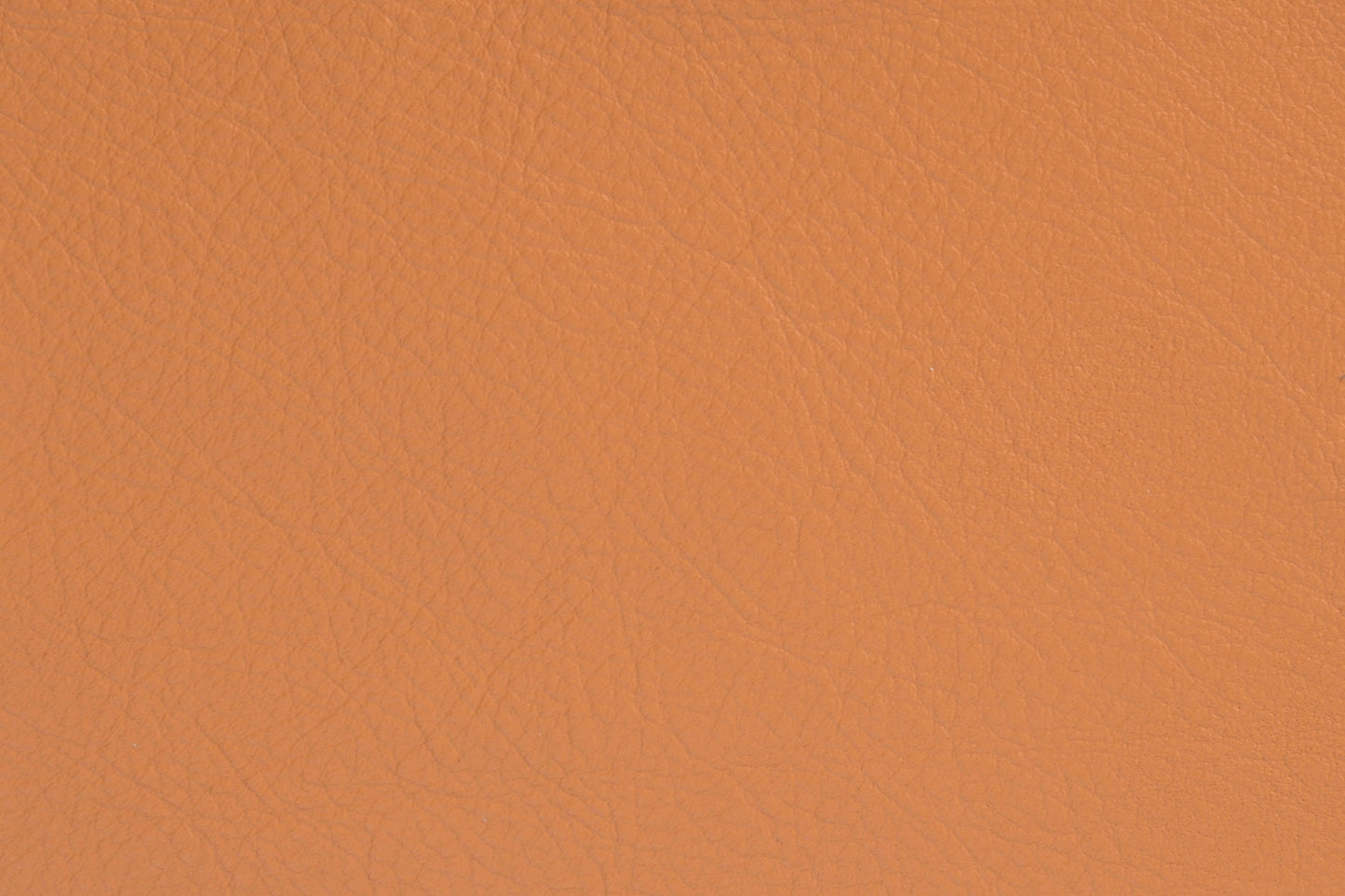 Phillips Design Elmosoft 54035 Saddle