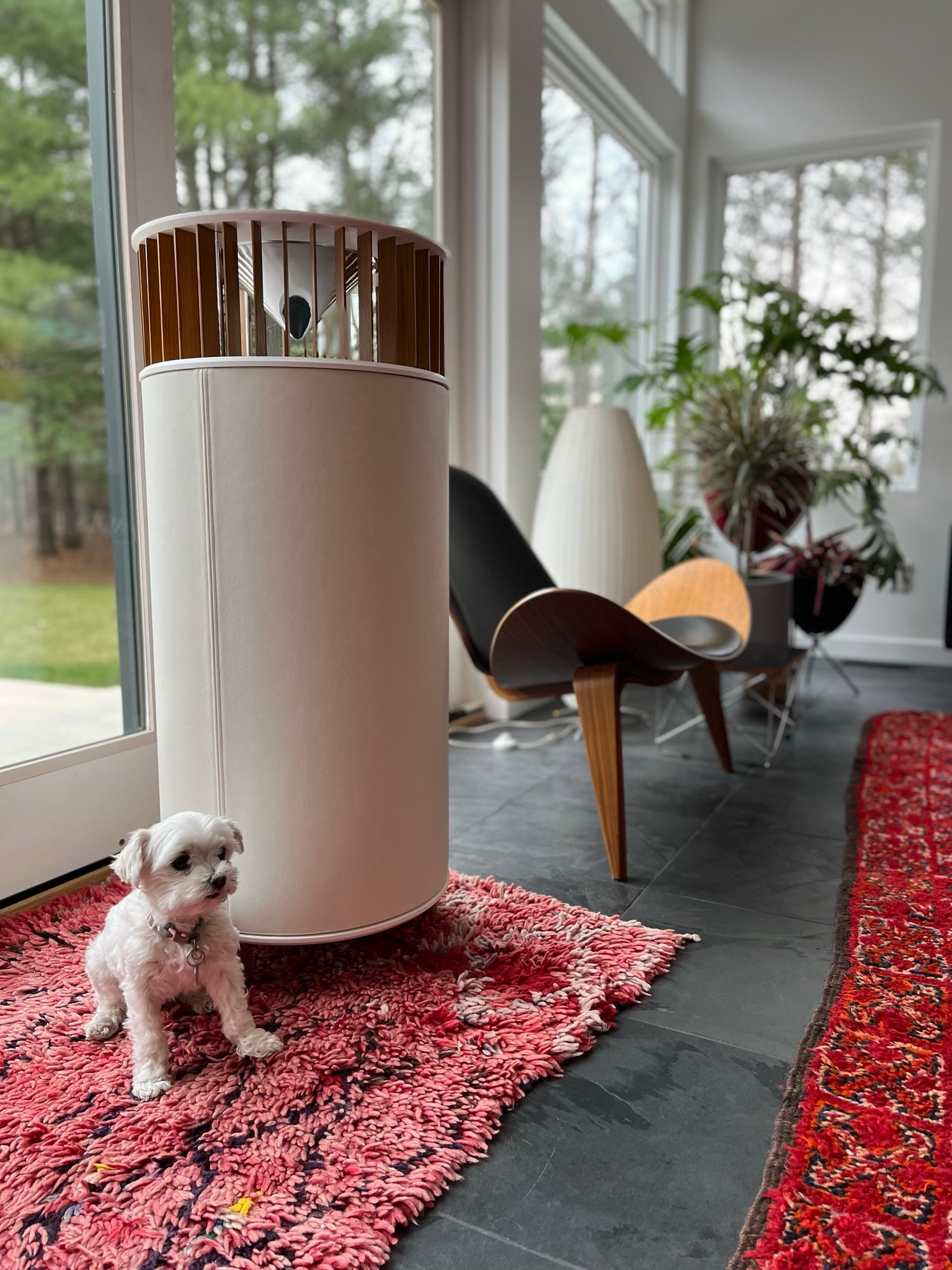Phillips Design OH-16 mid-century modern home audio speakers with Coco the dog